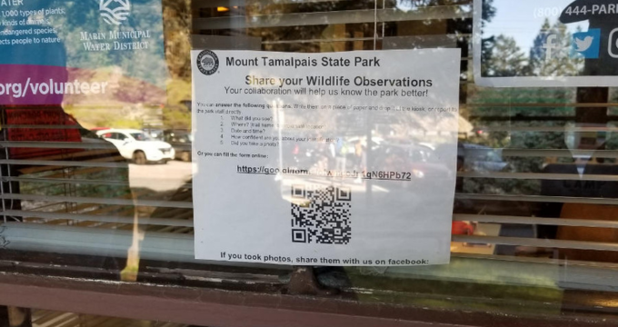qr-code-at-distance